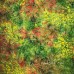 Seasonal Love Series